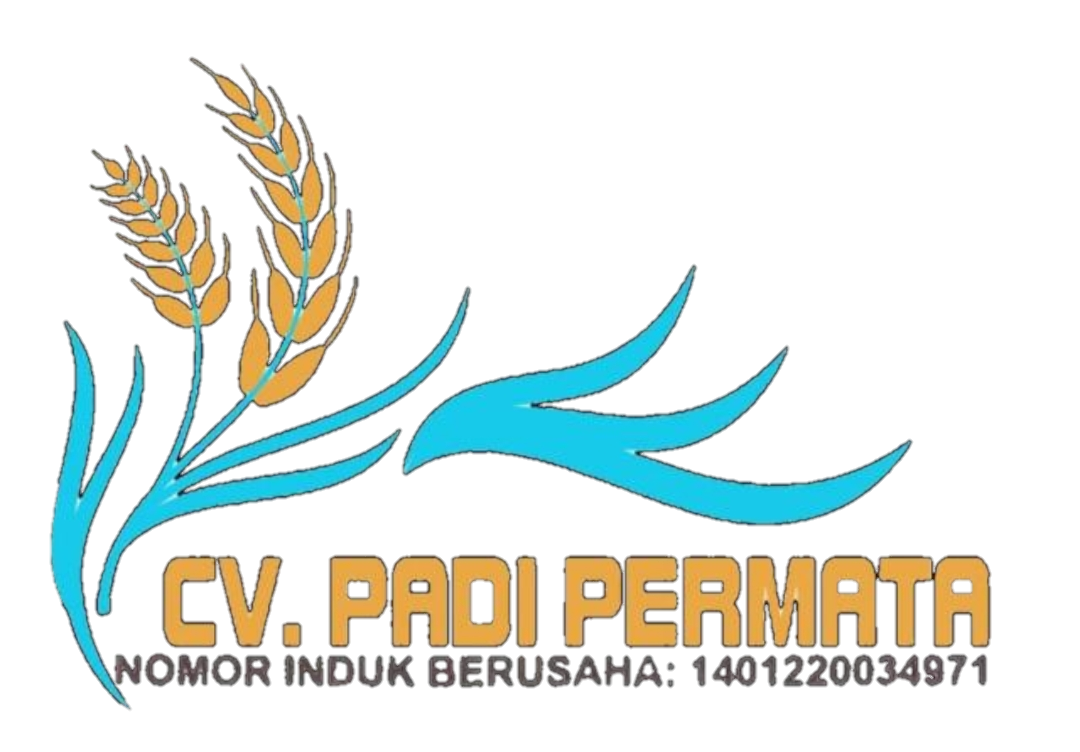 Dwi Nabasa Hasibuan